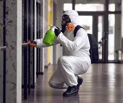 Professional Mold Prevention & Removal  in Santa Rosa, TX